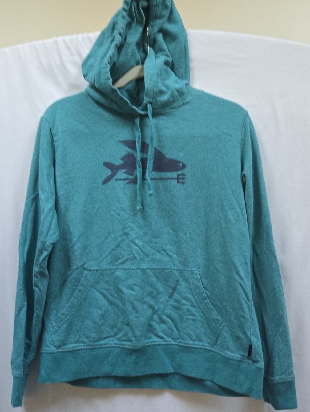 Patagonia Teal Hooded Sweatshirt with Logo Patch
